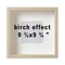 9.75x9.75 Birch Effect Deep Picture Frame with Mat, Plastic Front, Wall or Tabletop Display